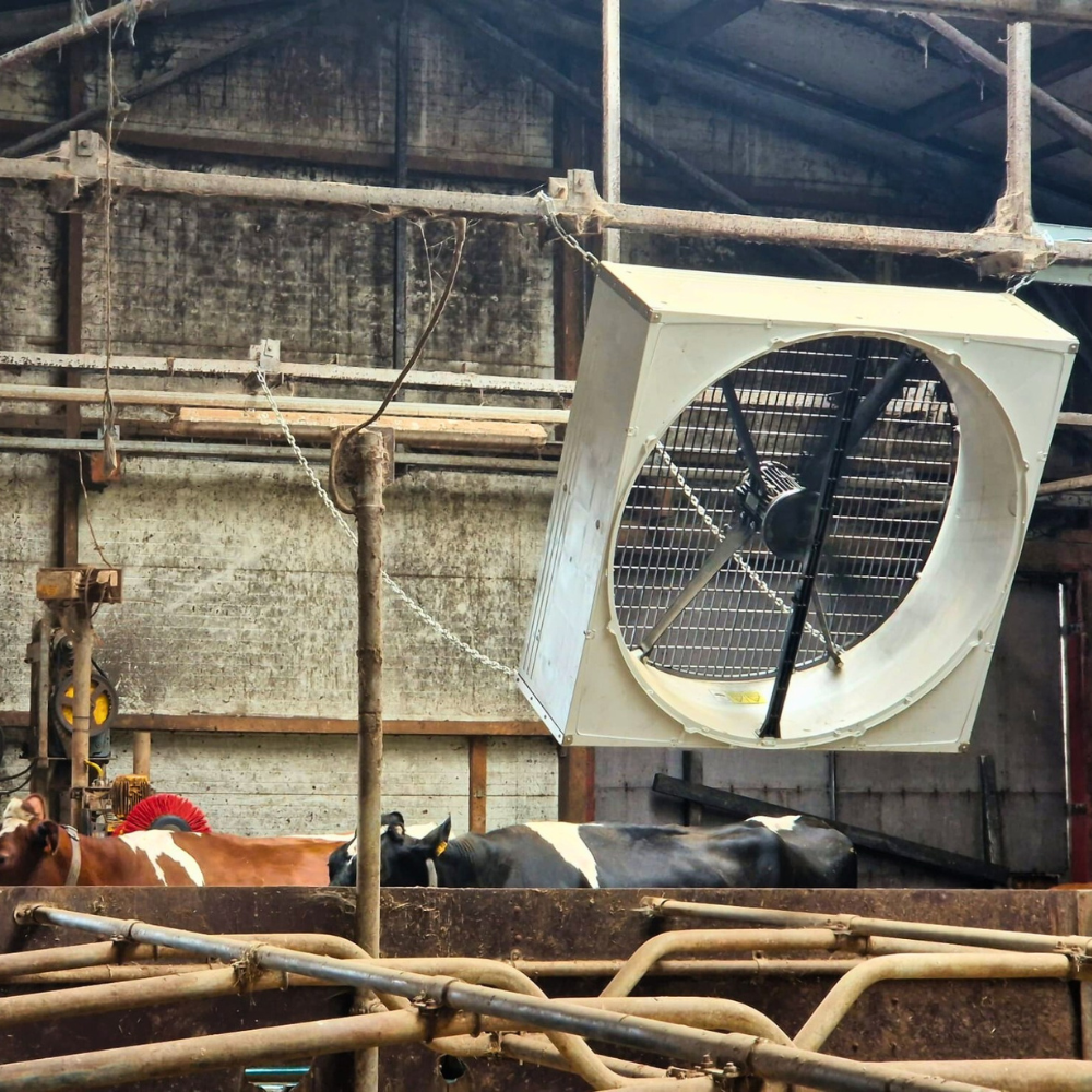 Ventilators BF 50 SuperFlow